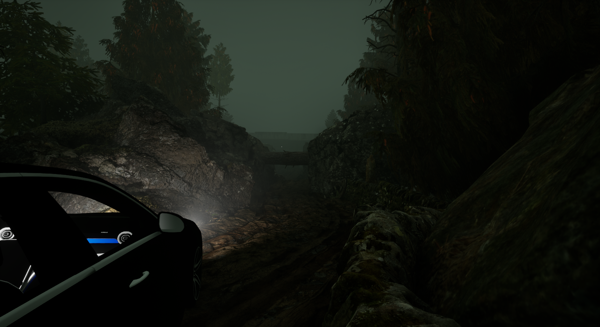 Foggy forest road